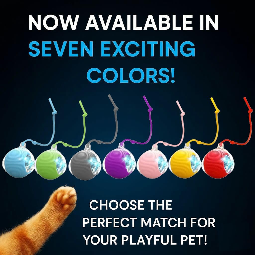 Interactive Pet Toy