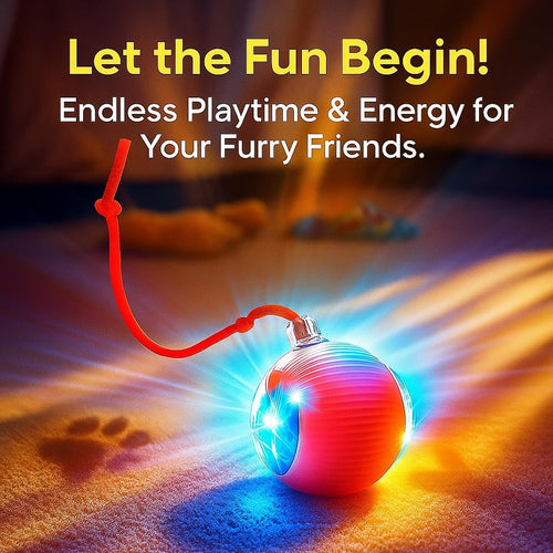 Interactive Pet Toy
