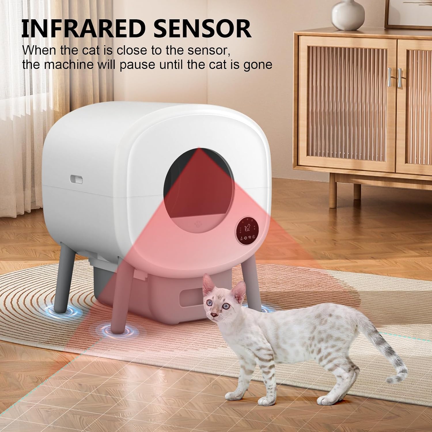 Self Cleaning Litter Box