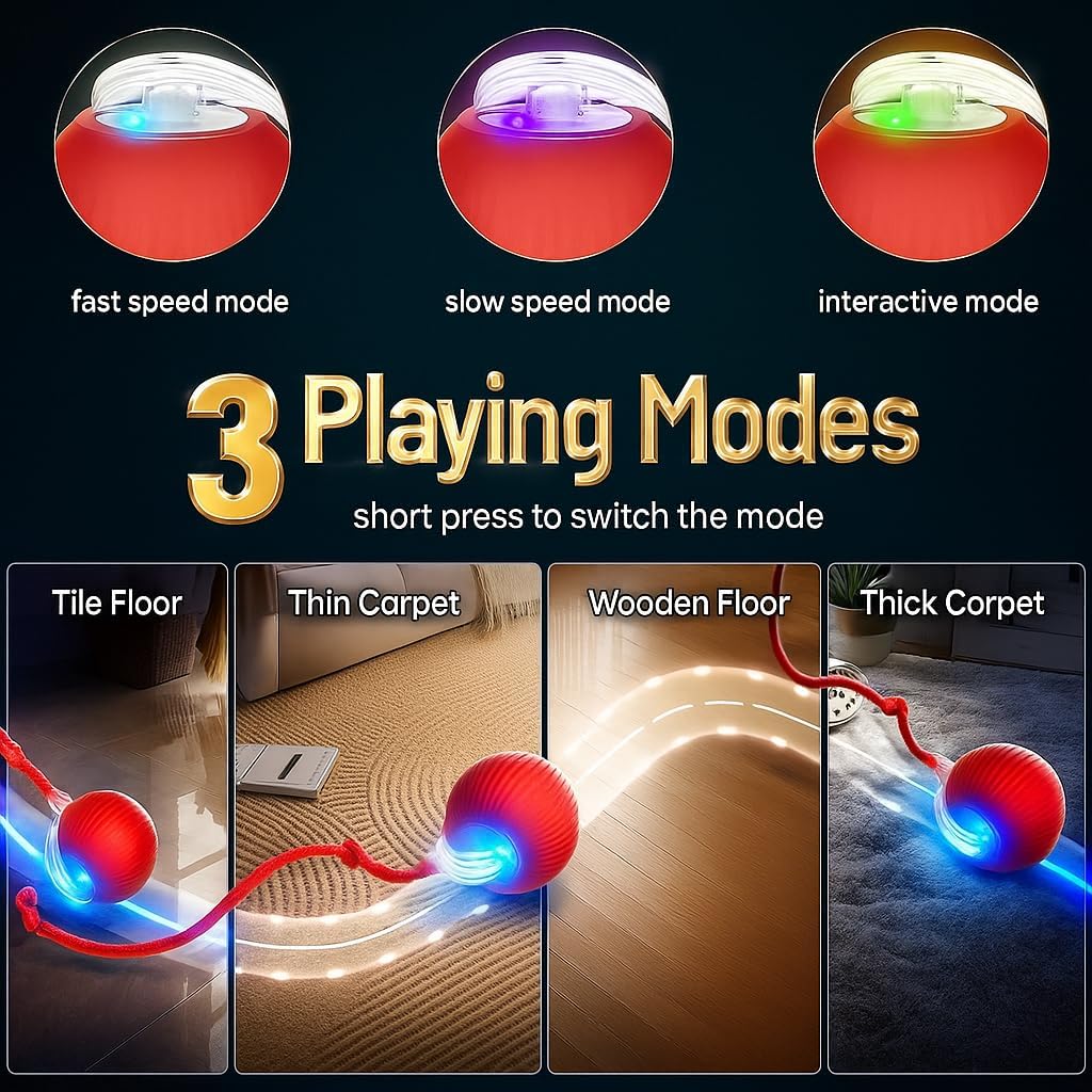 Interactive Pet Toy