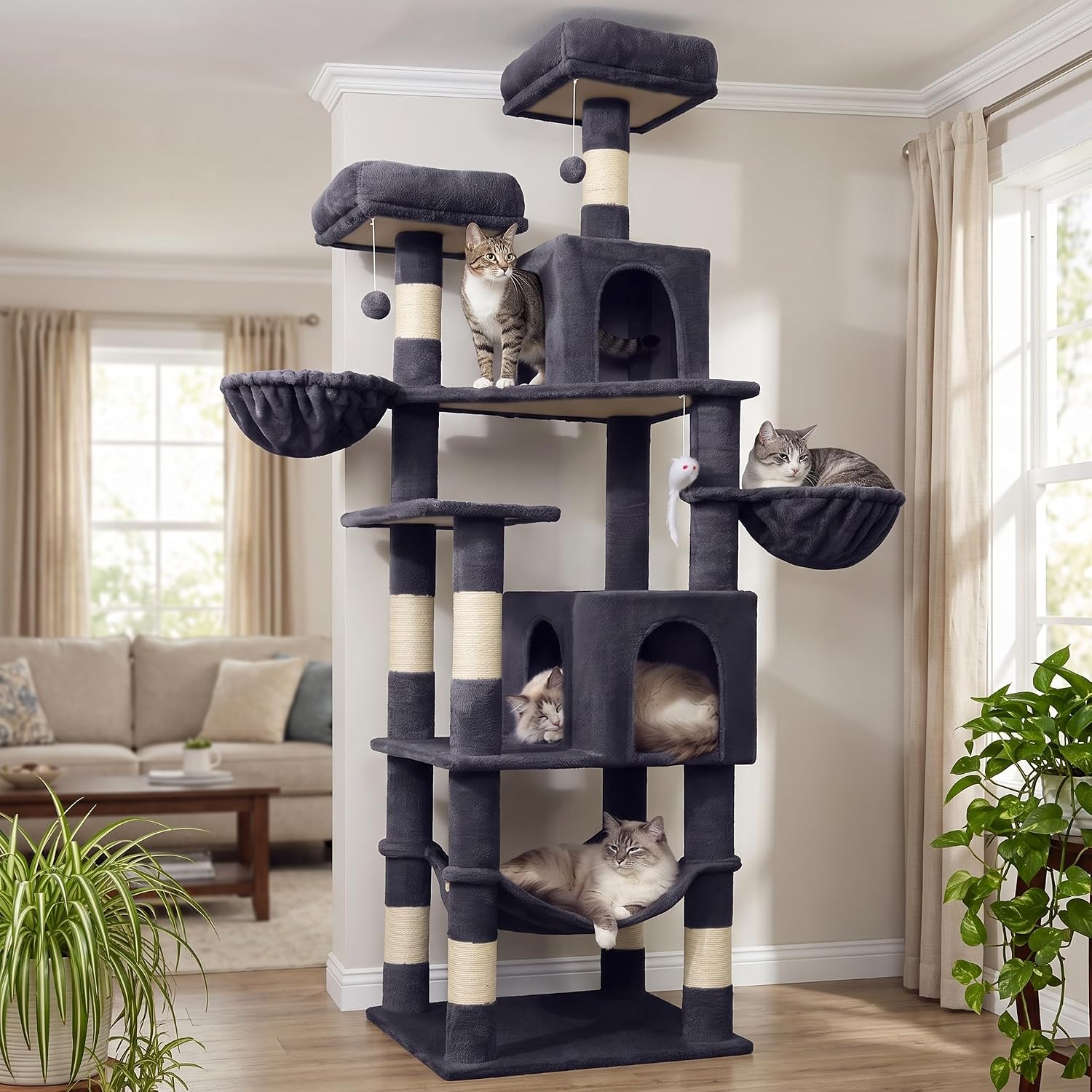 Multi-Level Cat Tree