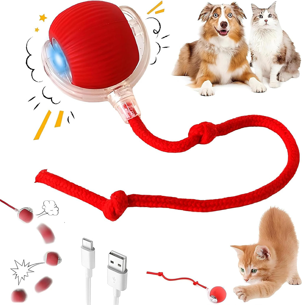 Interactive Pet Toy