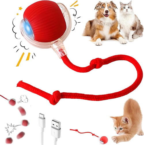 Interactive Pet Toy